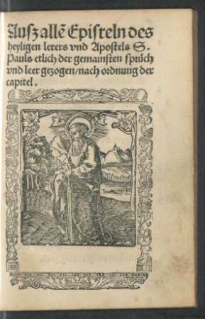 Auß allen Episteln des heyligen lerers und Apostels S. Pauls etlich der gemainsten sprüch und leer gezogen ...