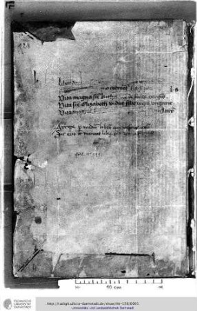 Raimundus de Capua. De s. Elisabeth. Johannes de Wackerzeele