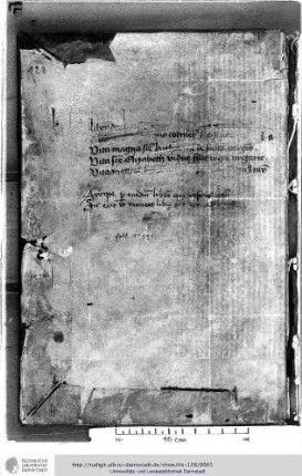 Raimundus de Capua. De s. Elisabeth. Johannes de Wackerzeele
