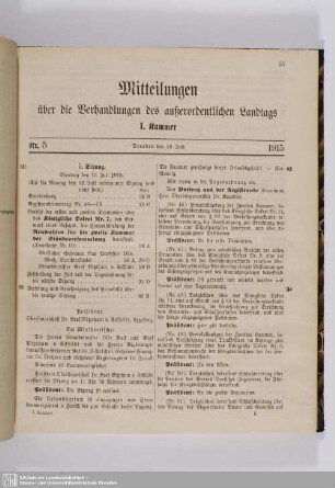 5. Sitzung (13.07.1915)