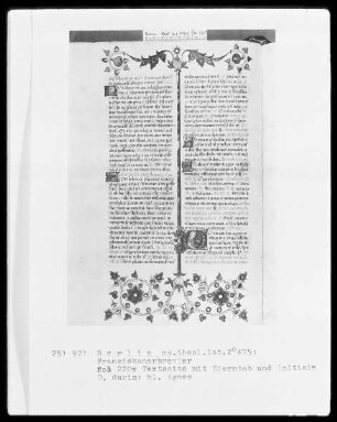 Franziskanisches Brevier — Initiale D (eus), darin die heilige Agnes, Folio 220verso