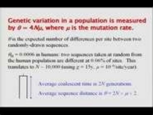 Species delimitation using genomic sequence data