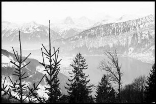 Beatenberg: Thuner See, Blick