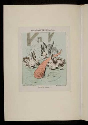 Les lapins d'Orléans, par Faustin