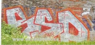 BSP