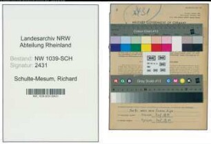 Entnazifizierung Richard Schulte-Mesum , geb. 13.01.1904 (Amtsangestellter)