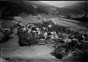 Hasenfeld (b. Heimbach)