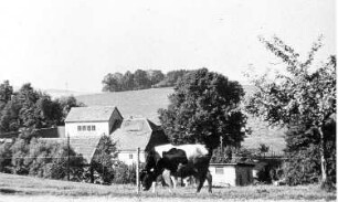 Steinmühle Oehlisch