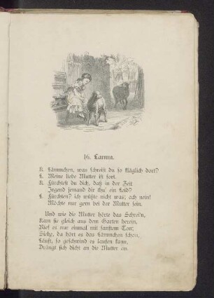 16. Lamm.