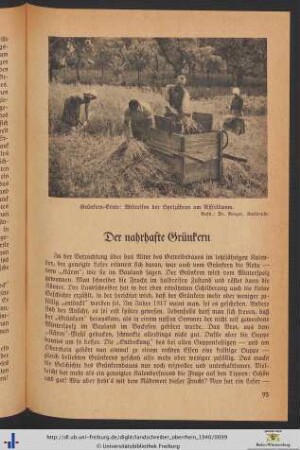 Der nahrhafte Grünkern.