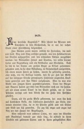 Ein Thüringer Landpfarrer im 30jährigen Kriege : Mitteilungen aus einer Kirchen-Chronik