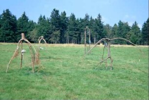 Ausstellung auf einer Bergwiese, Naturpark Friedrichshöhe: Äste