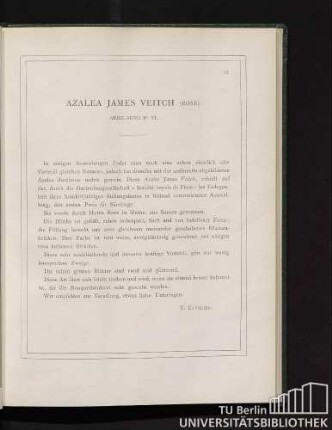 Azalea James Veitch.
