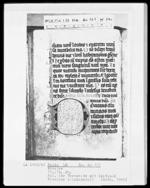 Brevier — Initiale D(ominus illuminatio), Folio 24verso