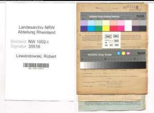 Entnazifizierung Robert Lewandowski, geb. 02.01.1905 (Richtmeister)