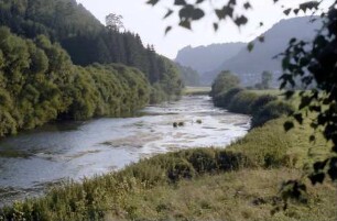 Thiergarten: Donau stromaufwärts bei Thiergarten