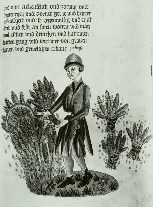 Illumination eines Lehrbuchs der Astronomie: Schriftspiegel und Bauer bei der Getreidemahd, Monatsbild Juli : Monatsbild Juli, Korn mähender Bauer