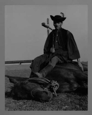 Ungarischer Hirte, auf einem liegenden Pferd sitzend. Fotografie; 29,2 x 23 cm. 1961