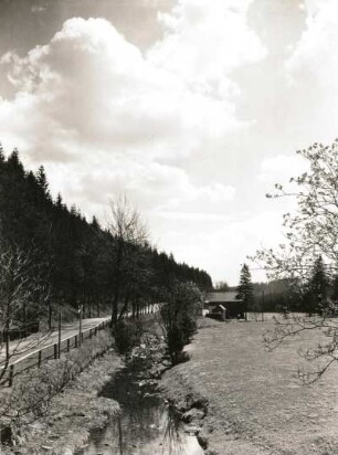 Tal der Wilden Weißeritz bei Seyde