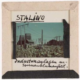 Stalino (Donezk): Industrieanlagen und Sonnenblumenfeld (Foto 1943)