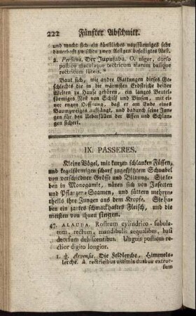 IX. Passeres