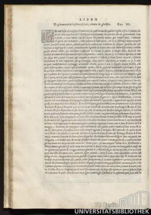 De gli ornamenti de la pittura, di fuori, e dentro de gli edifici. Cap. XI.