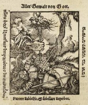 Druckermarke Johann Schott : Druckermarke Johann Schott mit Sinnsprüchen in vier Sprachen. Blatt DIIII verso (letzte Seite) aus: XXVII. Predig D. Martin Luthers newlich vszgangen Anno. XXIII. : Durchsichtiget, vnd in ordnung gestellt der bessten form. Sampt eim Register ...Straßburg : [Johann Schott], 1523. Dresden: SLUB Hist.eccl.E.305,50