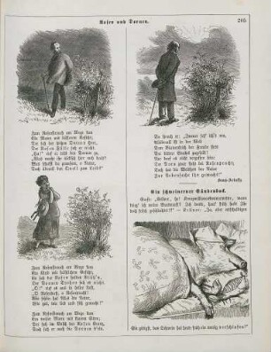 "Rosen und Dornen" "Ein schweinerner Sündenbock"