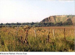 Landschaft