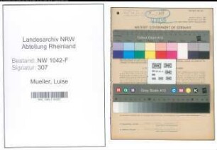 Entnazifizierung Luise Mueller , geb. 03.04.1906 (Zollangestellte)