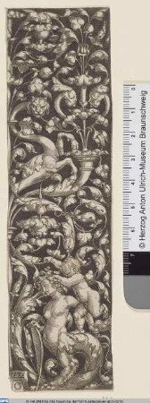 Rankenwerk mit Sphinx, Putto und Chimäre, Hochfüllung