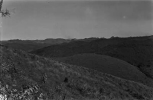Landschaft : Landschaft in Ostparaná.