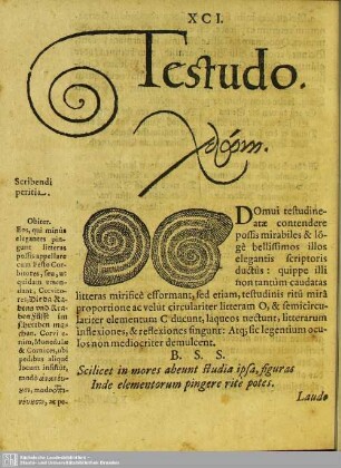 XCI. Testudo
