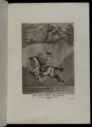 [Abbildung] No. 41 - No. 46