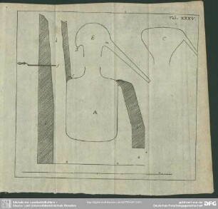 Tab. XXXV [XXXVI].