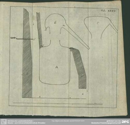 Tab. XXXV [XXXVI].