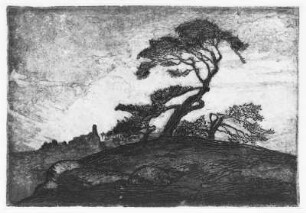 Kuppe mit Windflüchtern in der Sächsischen Schweiz : Bernkopf, Georg: Kuppe mit Windflüchtern in der Sächsischen Schweiz. Um 1940/1943. Radierung?, unbezeichnet
