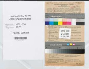 Entnazifizierung Wilhelm Trippen, geb. 11.06.1897 (Bankmanager)