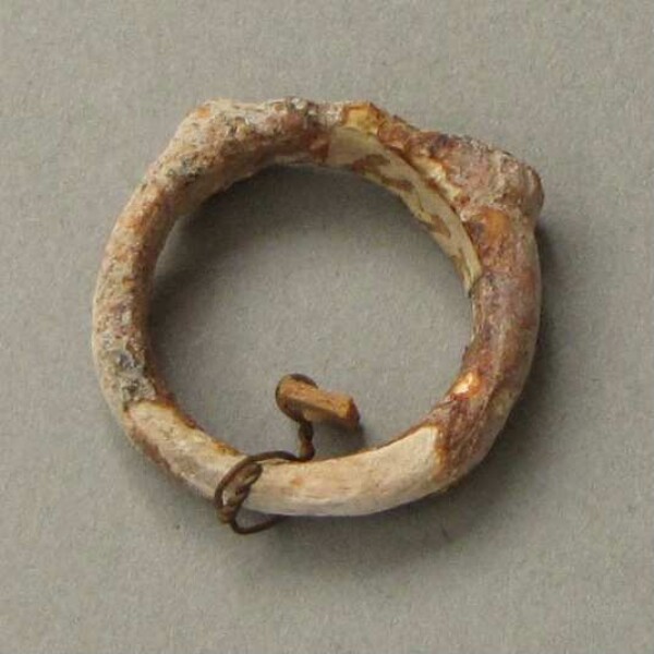 Shell ring