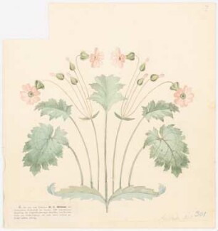 Blumen, Ornamente u.a.: Detail