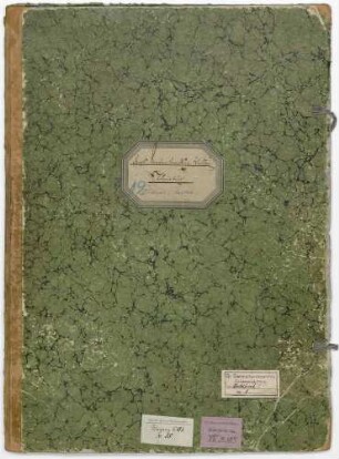 Großh. Domänenverwaltung Waldkirch, Planbuch Waldkirch und Stahlhof