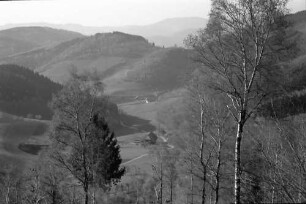 Landwasser: Blick mit Birken im jungen Grün