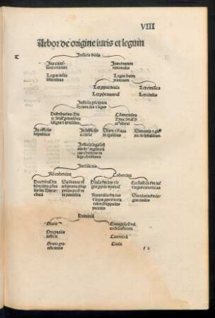 Arbor de origine iuris et legum