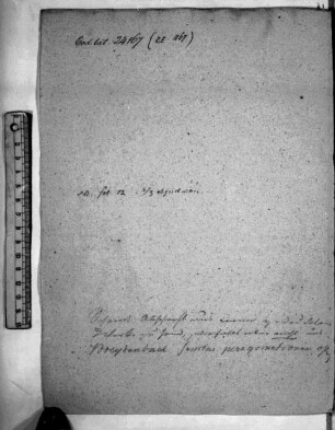 Peregrinationes terrae sanctae ' In sancta civitate Jerusalem' - BSB Clm 24167