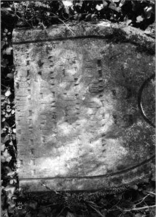 Grabstein 402 (Index: 99792060) Material: Sandstein Zustand: leicht verwittert, unterer Teil der Stele fehlt, Stele liegend Maße HxBxT: 52x44x14 cm Beschreibung: Stele, Spitzbogenabschluß, Schriftfeld eingetieft Symbolik: Blüte: Grabstein 402 (Detailaufnahme)