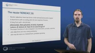 Gothic – Morphology, Part 2: Adjectives and Pronouns