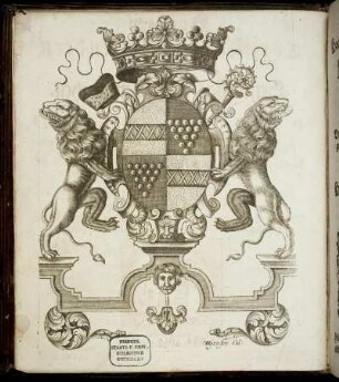 [Kupferstich : Wappen zu Bawir]