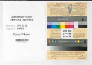 Entnazifizierung Wilhelm Mauel , geb. 16.12.1891 (Buchhalter)