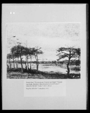 Marschlandschaft mit Fichten