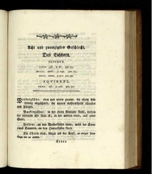 Das Eichhorn.